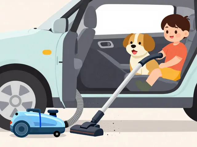 Автомобильные пылесосы: как выбрать по мощности, фильтрам и длине шланга